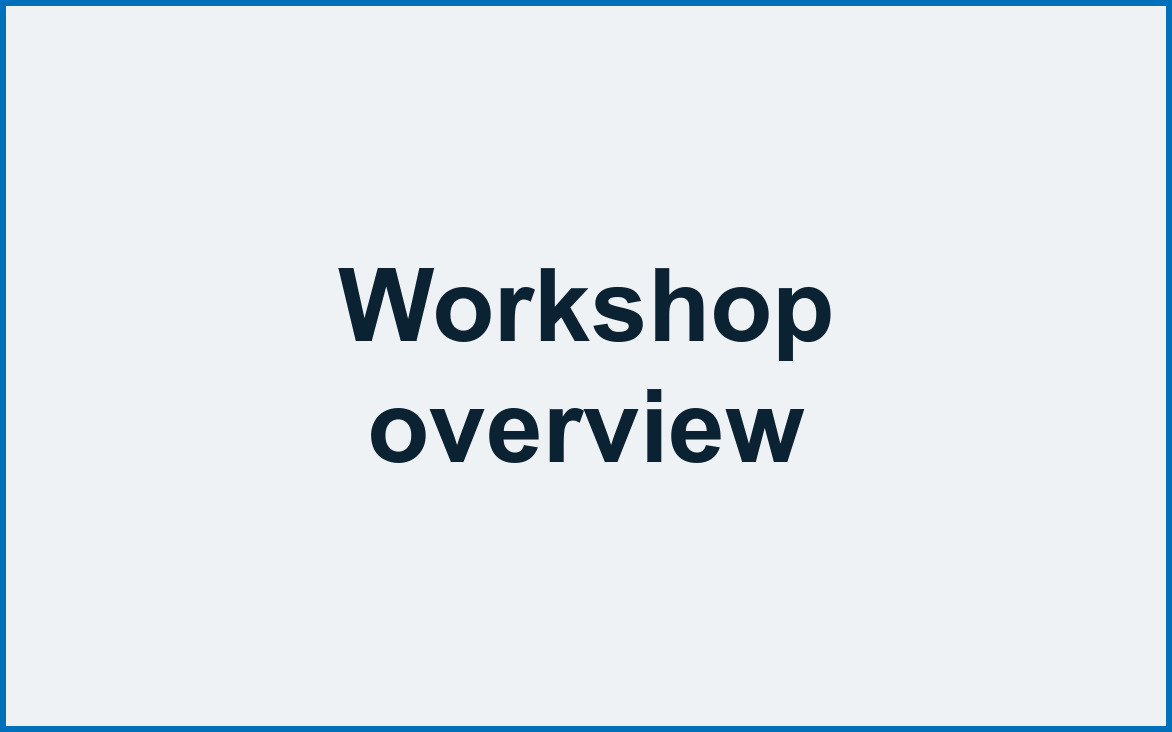 Workshop overview